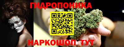 прущие грибы Кунгур