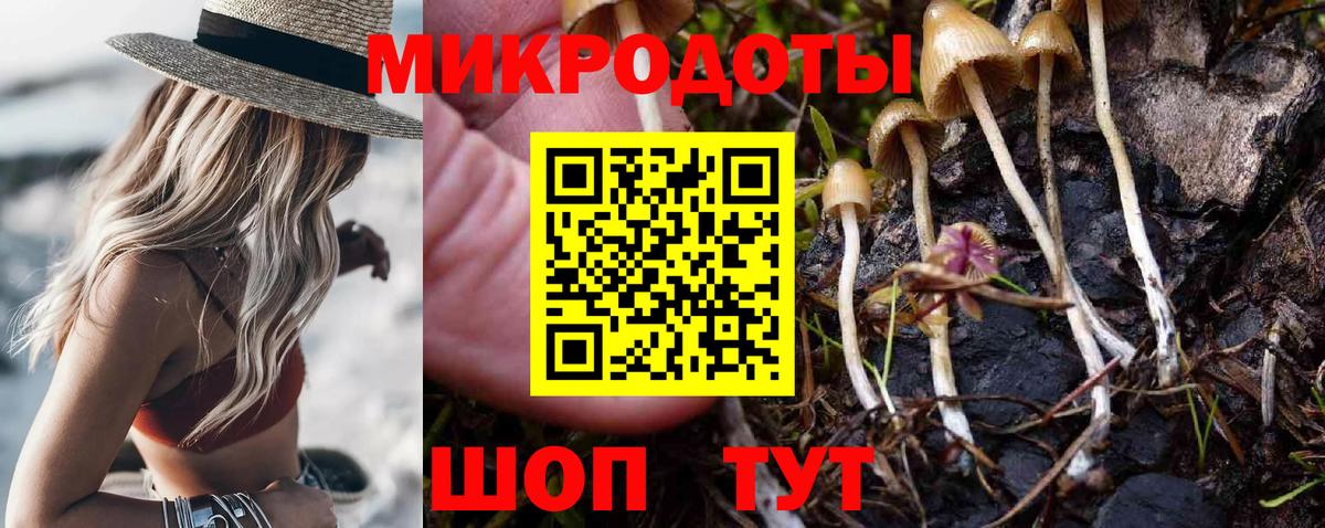 Калач-на-Дону  Галлюциногенные грибы MAGIC MUSHROOMS  где купить   Вход с VPN 