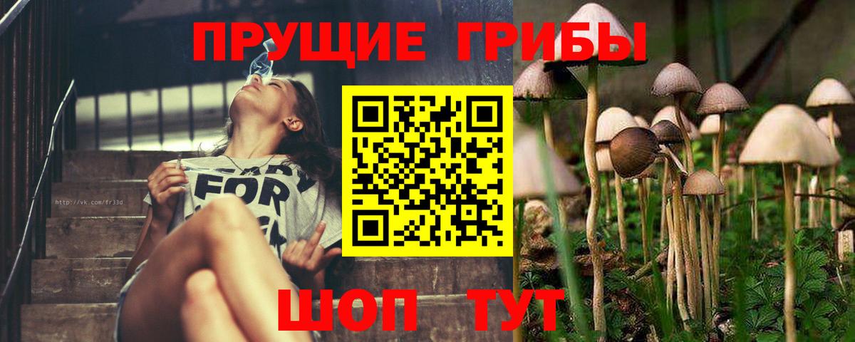 Псилоцибиновые грибы Psilocybine cubensis Калач-на-Дону