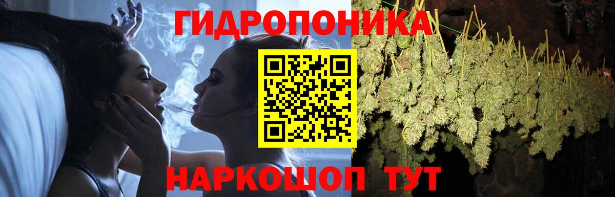Конопля марихуана  Вход с VPN  Калач-на-Дону  Конопля тримм 